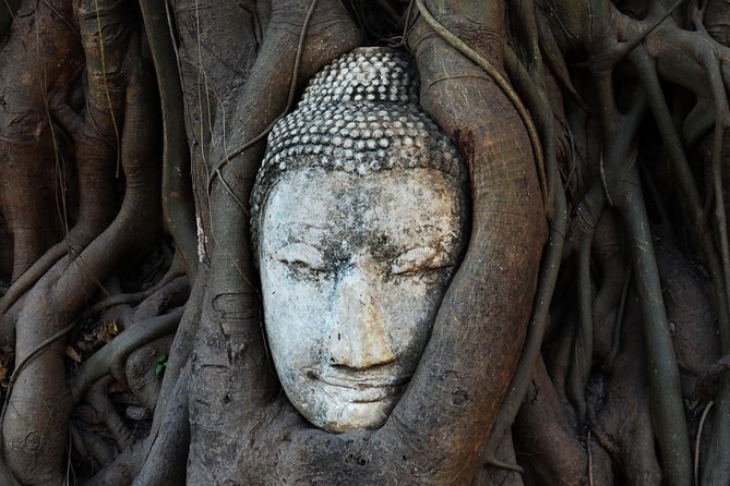 Close view of the Buddha head grown into the tree roots at Wat Mahathat