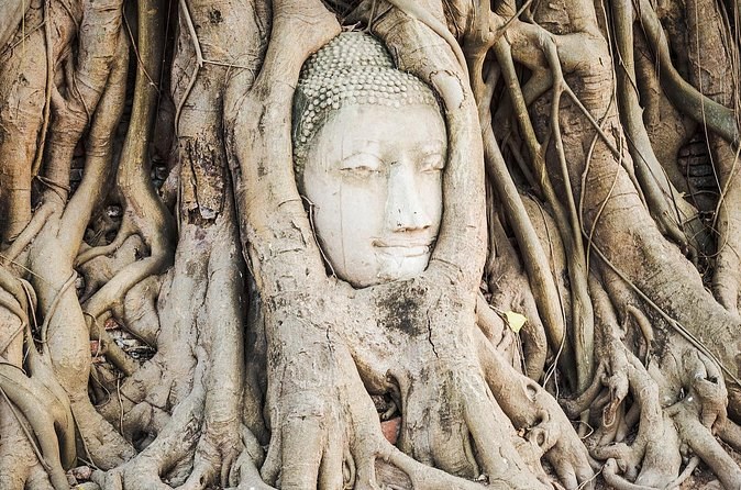 The sandstone Buddha head held in the roots of a bodhi tree at Wat Mahathat